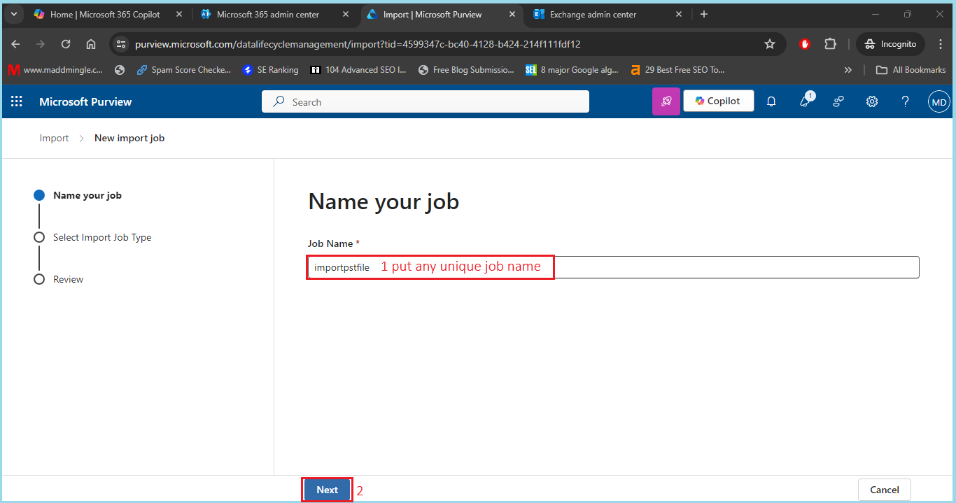 select Microsoft Preview now