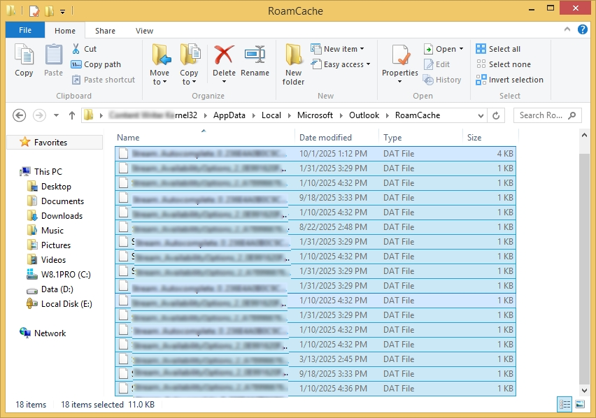  RoamCache folder